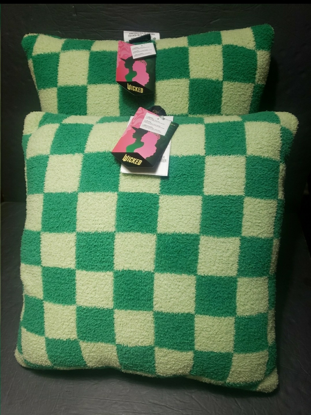 NEW! Set Of 2 WICKED For TARGET **Elphaba** Throw Pillows